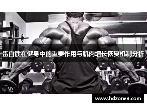 蛋白质在健身中的重要作用与肌肉增长恢复机制分析